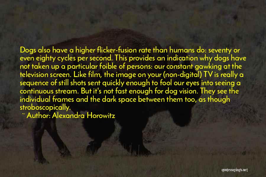 Alexandra Horowitz Quotes: Dogs Also Have A Higher Flicker-fusion Rate Than Humans Do: Seventy Or Even Eighty Cycles Per Second. This Provides An