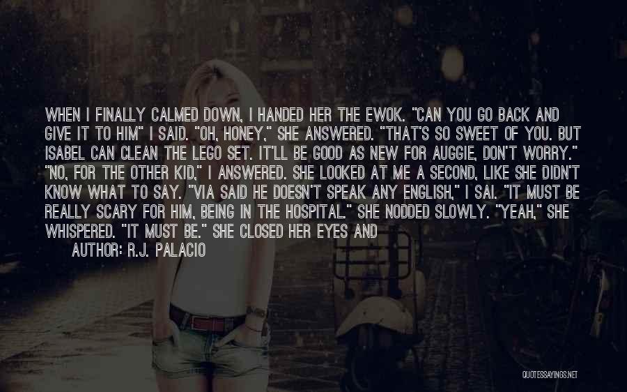 R.J. Palacio Quotes: When I Finally Calmed Down, I Handed Her The Ewok. Can You Go Back And Give It To Him I