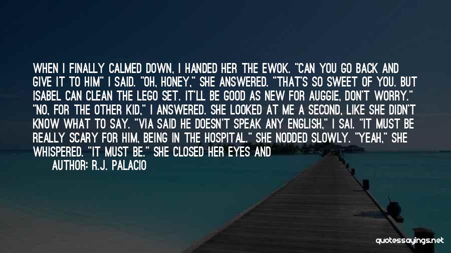 R.J. Palacio Quotes: When I Finally Calmed Down, I Handed Her The Ewok. Can You Go Back And Give It To Him I