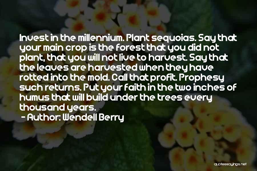 Wendell Berry Quotes: Invest In The Millennium. Plant Sequoias. Say That Your Main Crop Is The Forest That You Did Not Plant, That
