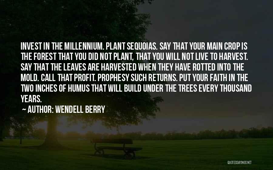 Wendell Berry Quotes: Invest In The Millennium. Plant Sequoias. Say That Your Main Crop Is The Forest That You Did Not Plant, That