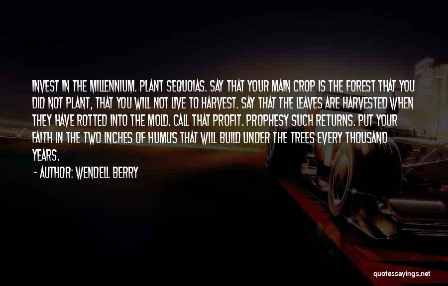 Wendell Berry Quotes: Invest In The Millennium. Plant Sequoias. Say That Your Main Crop Is The Forest That You Did Not Plant, That