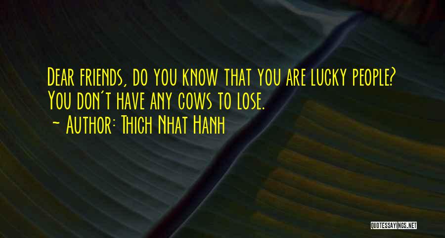 Thich Nhat Hanh Quotes: Dear Friends, Do You Know That You Are Lucky People? You Don't Have Any Cows To Lose.