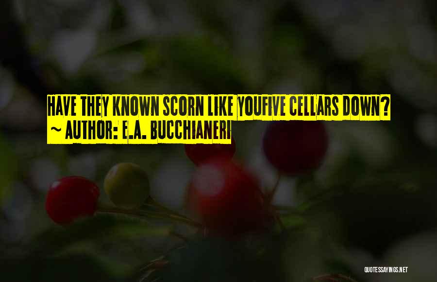 E.A. Bucchianeri Quotes: Have They Known Scorn Like Youfive Cellars Down?