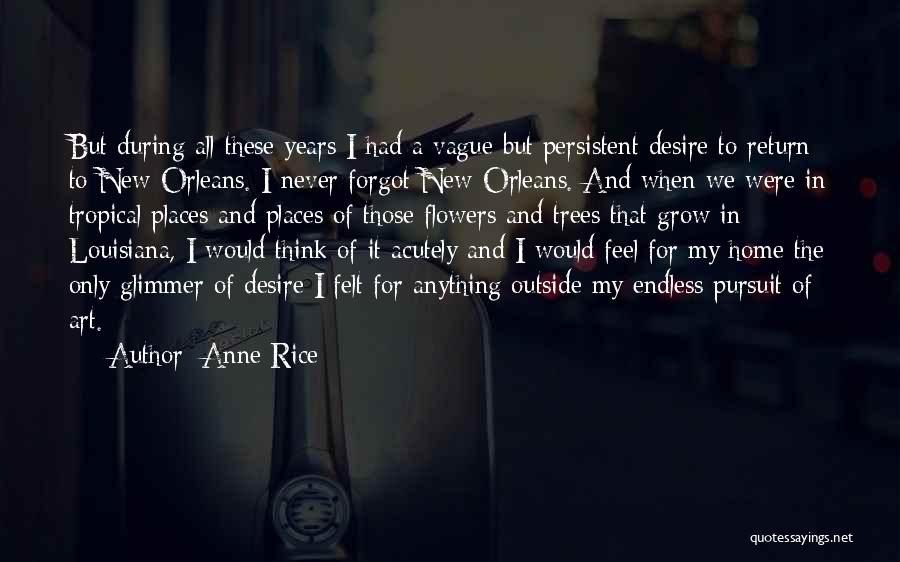 Anne Rice Quotes: But During All These Years I Had A Vague But Persistent Desire To Return To New Orleans. I Never Forgot