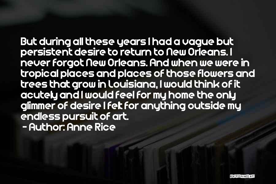 Anne Rice Quotes: But During All These Years I Had A Vague But Persistent Desire To Return To New Orleans. I Never Forgot