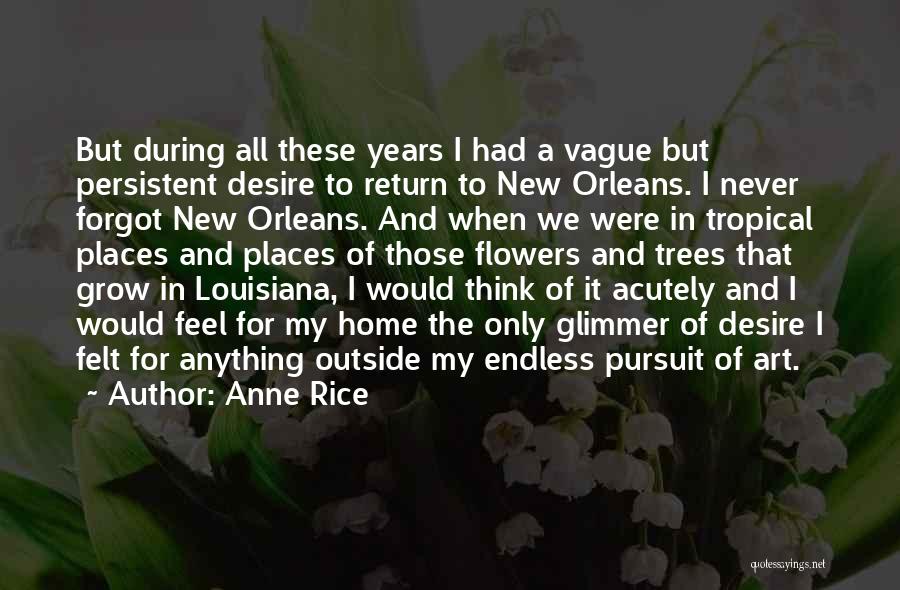 Anne Rice Quotes: But During All These Years I Had A Vague But Persistent Desire To Return To New Orleans. I Never Forgot
