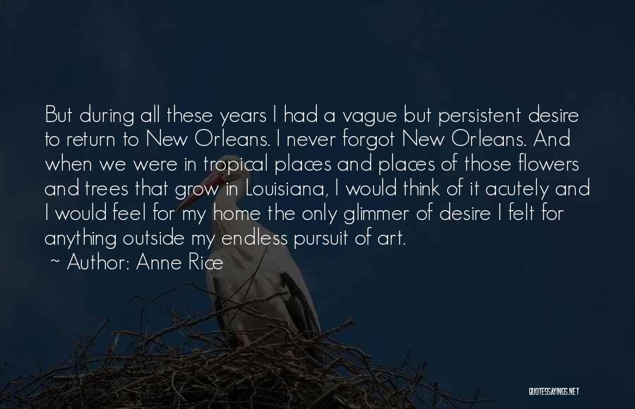 Anne Rice Quotes: But During All These Years I Had A Vague But Persistent Desire To Return To New Orleans. I Never Forgot