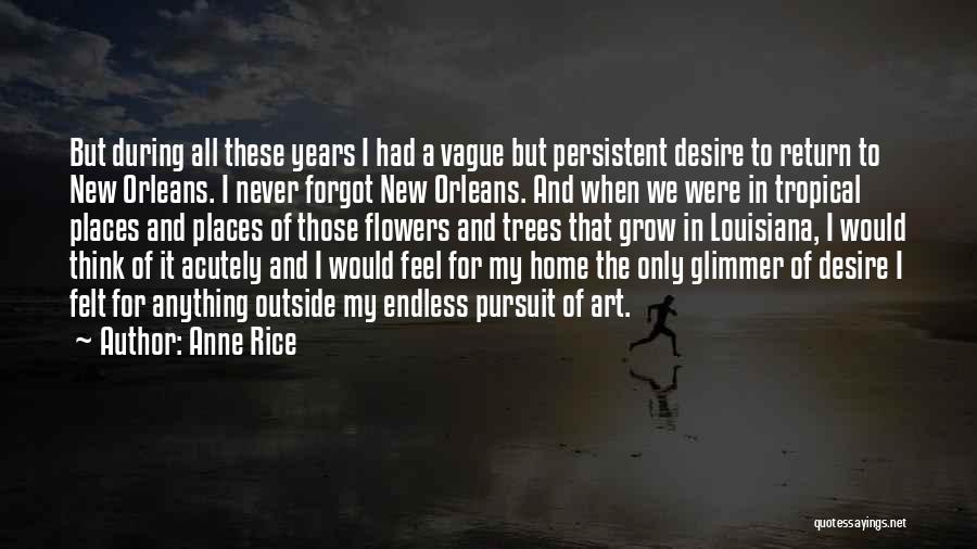 Anne Rice Quotes: But During All These Years I Had A Vague But Persistent Desire To Return To New Orleans. I Never Forgot