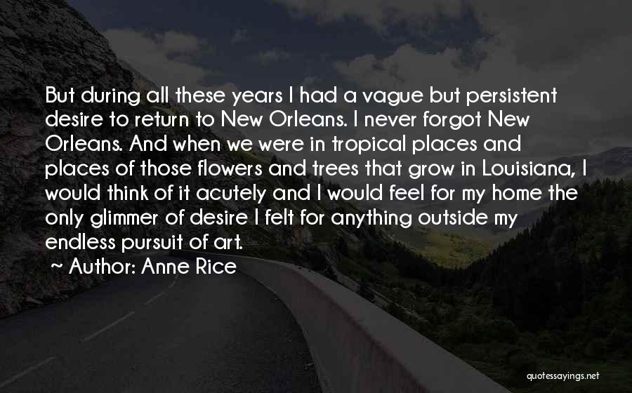 Anne Rice Quotes: But During All These Years I Had A Vague But Persistent Desire To Return To New Orleans. I Never Forgot