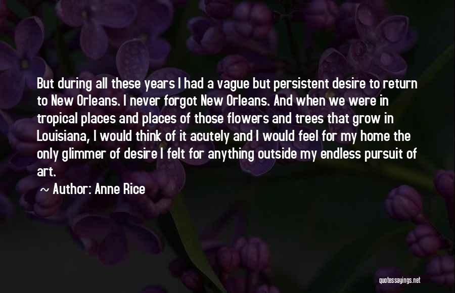 Anne Rice Quotes: But During All These Years I Had A Vague But Persistent Desire To Return To New Orleans. I Never Forgot