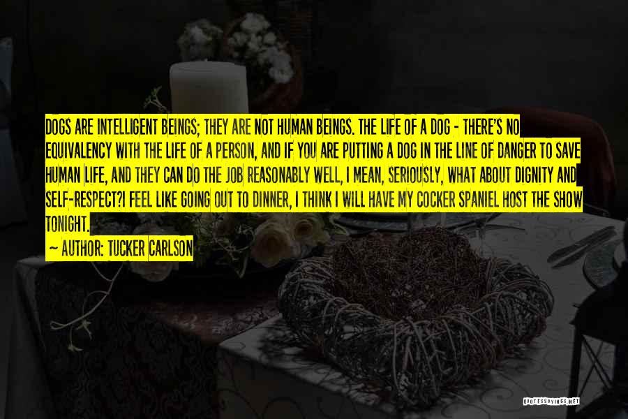 Tucker Carlson Quotes: Dogs Are Intelligent Beings; They Are Not Human Beings. The Life Of A Dog - There's No Equivalency With The