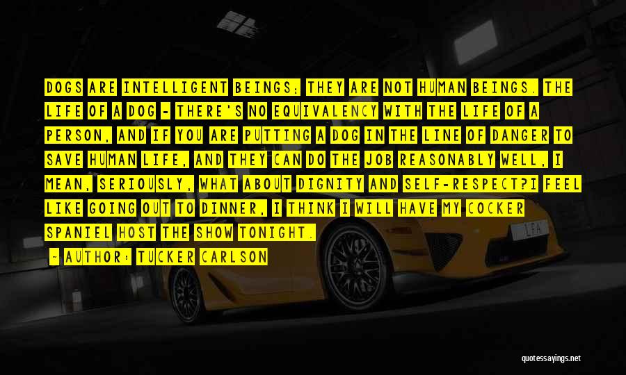 Tucker Carlson Quotes: Dogs Are Intelligent Beings; They Are Not Human Beings. The Life Of A Dog - There's No Equivalency With The