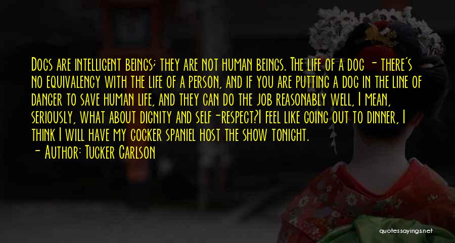 Tucker Carlson Quotes: Dogs Are Intelligent Beings; They Are Not Human Beings. The Life Of A Dog - There's No Equivalency With The