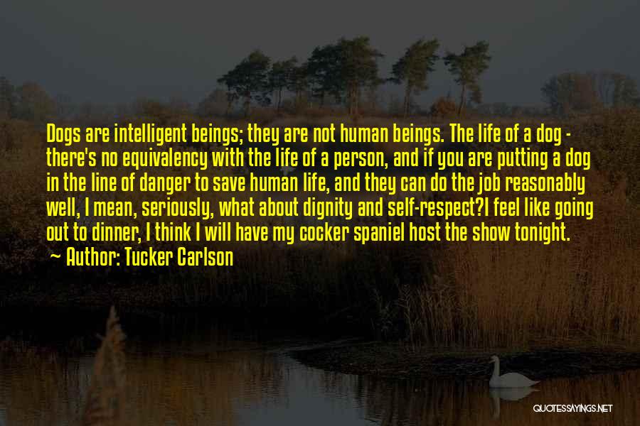 Tucker Carlson Quotes: Dogs Are Intelligent Beings; They Are Not Human Beings. The Life Of A Dog - There's No Equivalency With The