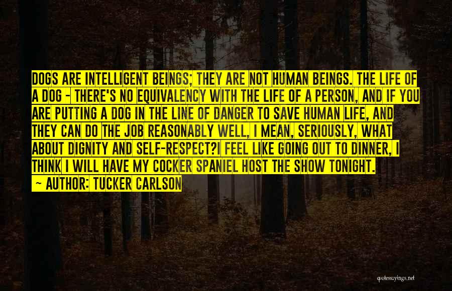 Tucker Carlson Quotes: Dogs Are Intelligent Beings; They Are Not Human Beings. The Life Of A Dog - There's No Equivalency With The