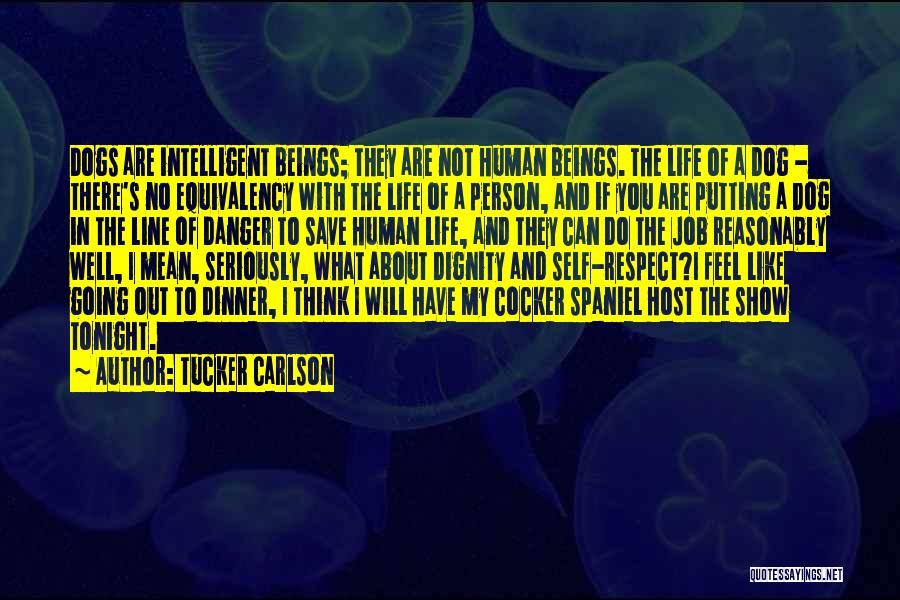 Tucker Carlson Quotes: Dogs Are Intelligent Beings; They Are Not Human Beings. The Life Of A Dog - There's No Equivalency With The