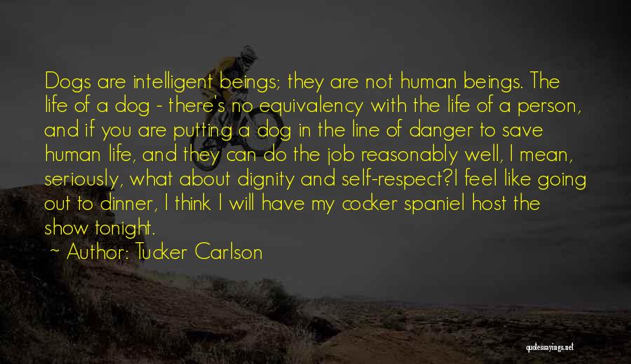 Tucker Carlson Quotes: Dogs Are Intelligent Beings; They Are Not Human Beings. The Life Of A Dog - There's No Equivalency With The