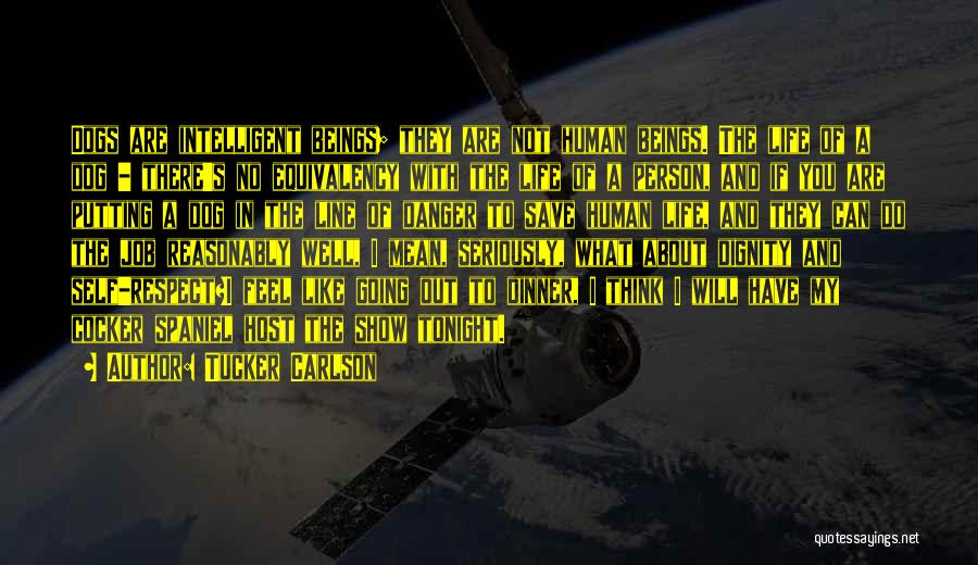 Tucker Carlson Quotes: Dogs Are Intelligent Beings; They Are Not Human Beings. The Life Of A Dog - There's No Equivalency With The