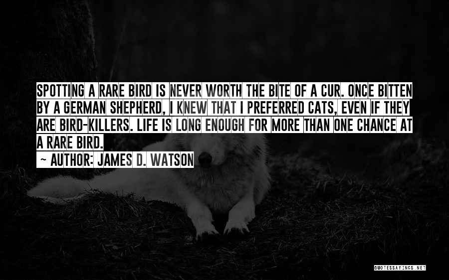 James D. Watson Quotes: Spotting A Rare Bird Is Never Worth The Bite Of A Cur. Once Bitten By A German Shepherd, I Knew