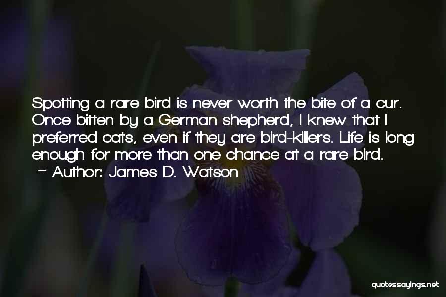 James D. Watson Quotes: Spotting A Rare Bird Is Never Worth The Bite Of A Cur. Once Bitten By A German Shepherd, I Knew