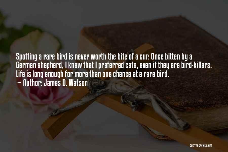 James D. Watson Quotes: Spotting A Rare Bird Is Never Worth The Bite Of A Cur. Once Bitten By A German Shepherd, I Knew