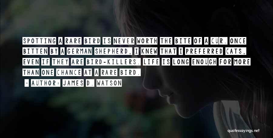 James D. Watson Quotes: Spotting A Rare Bird Is Never Worth The Bite Of A Cur. Once Bitten By A German Shepherd, I Knew