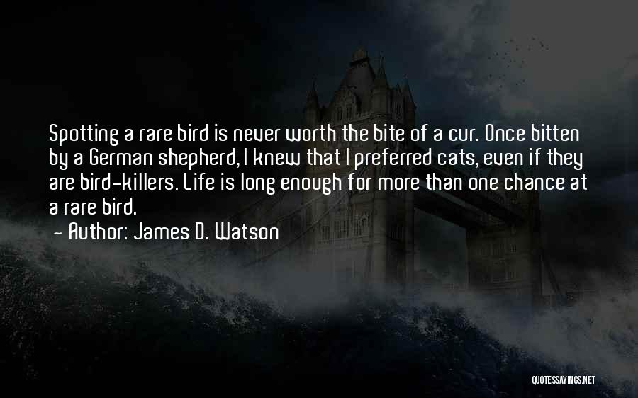 James D. Watson Quotes: Spotting A Rare Bird Is Never Worth The Bite Of A Cur. Once Bitten By A German Shepherd, I Knew