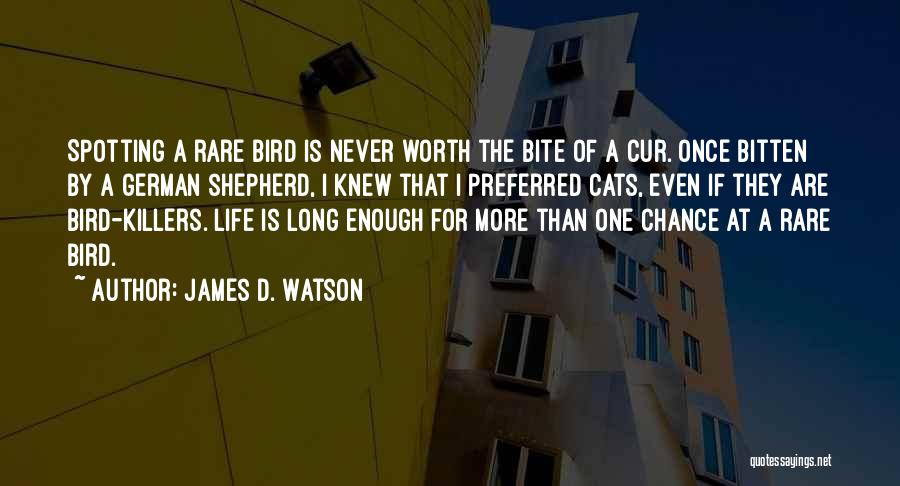 James D. Watson Quotes: Spotting A Rare Bird Is Never Worth The Bite Of A Cur. Once Bitten By A German Shepherd, I Knew