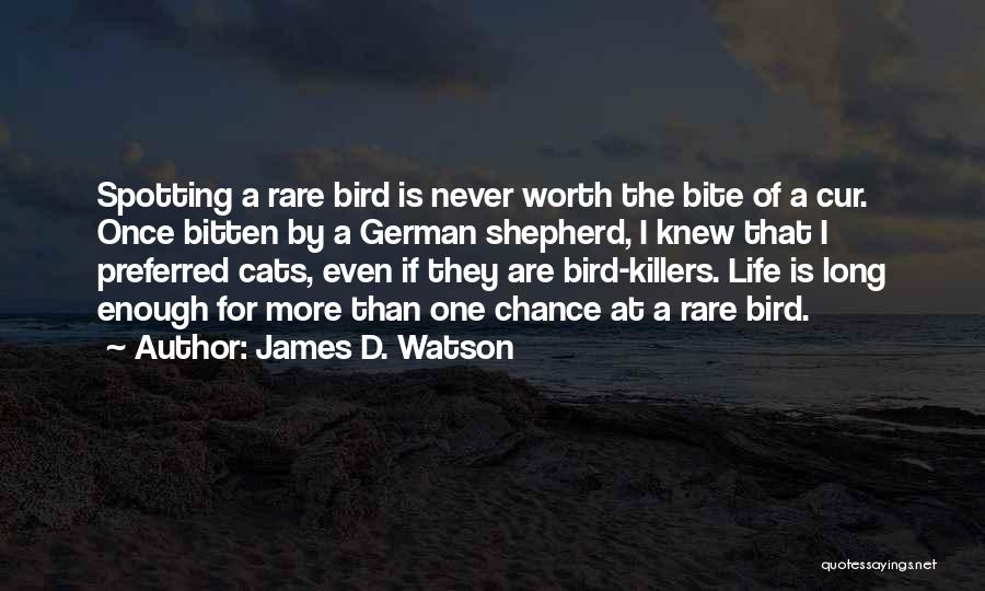 James D. Watson Quotes: Spotting A Rare Bird Is Never Worth The Bite Of A Cur. Once Bitten By A German Shepherd, I Knew