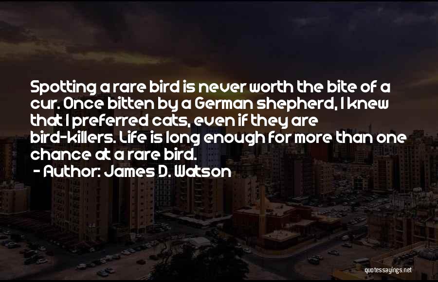 James D. Watson Quotes: Spotting A Rare Bird Is Never Worth The Bite Of A Cur. Once Bitten By A German Shepherd, I Knew