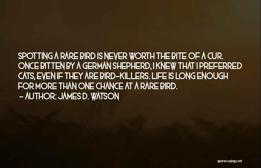 James D. Watson Quotes: Spotting A Rare Bird Is Never Worth The Bite Of A Cur. Once Bitten By A German Shepherd, I Knew