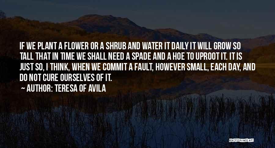 Teresa Of Avila Quotes: If We Plant A Flower Or A Shrub And Water It Daily It Will Grow So Tall That In Time