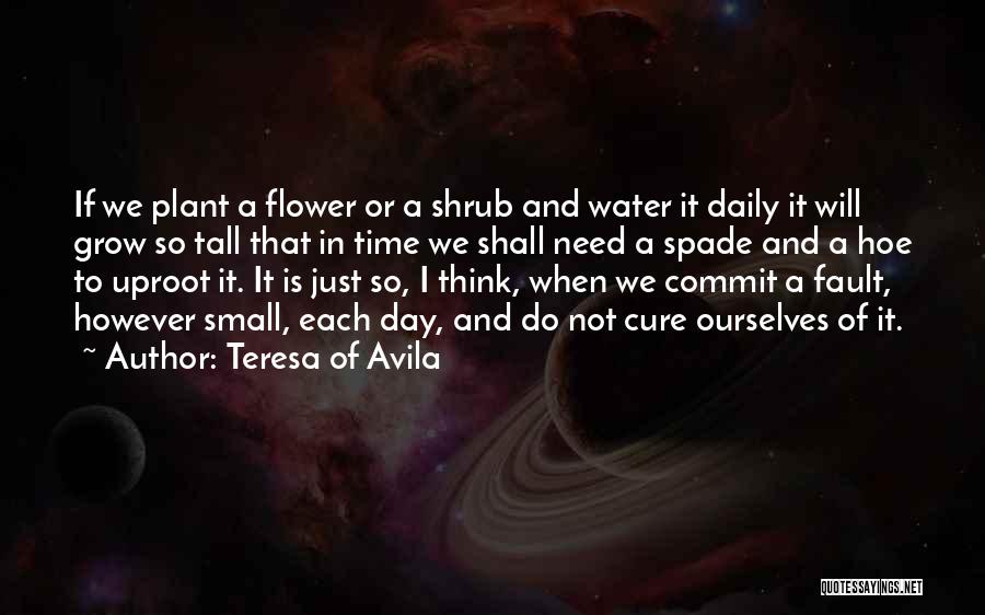 Teresa Of Avila Quotes: If We Plant A Flower Or A Shrub And Water It Daily It Will Grow So Tall That In Time