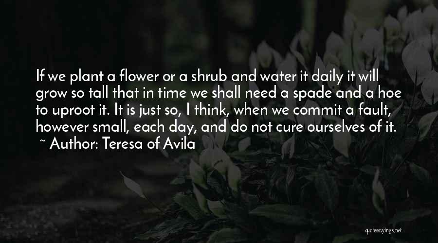 Teresa Of Avila Quotes: If We Plant A Flower Or A Shrub And Water It Daily It Will Grow So Tall That In Time
