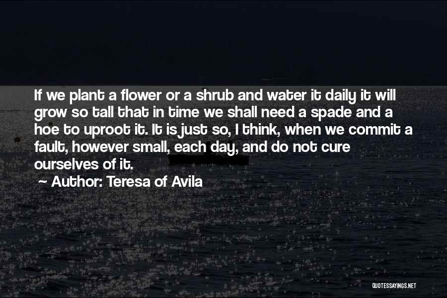 Teresa Of Avila Quotes: If We Plant A Flower Or A Shrub And Water It Daily It Will Grow So Tall That In Time