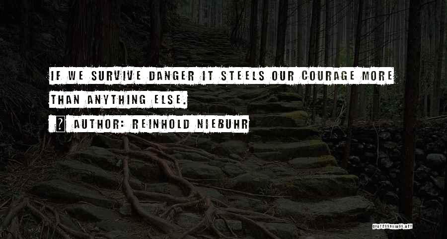 Reinhold Niebuhr Quotes: If We Survive Danger It Steels Our Courage More Than Anything Else.