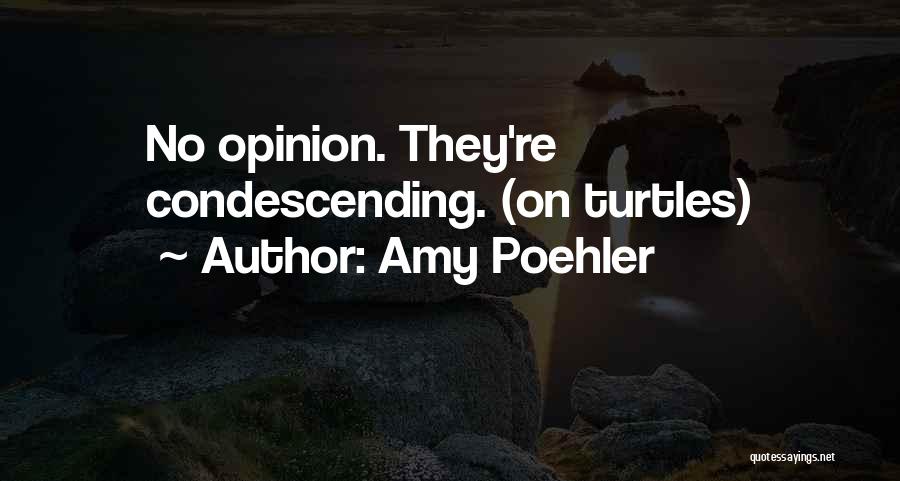 Amy Poehler Quotes: No Opinion. They're Condescending. (on Turtles)