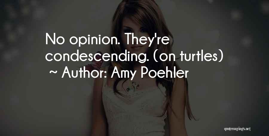 Amy Poehler Quotes: No Opinion. They're Condescending. (on Turtles)