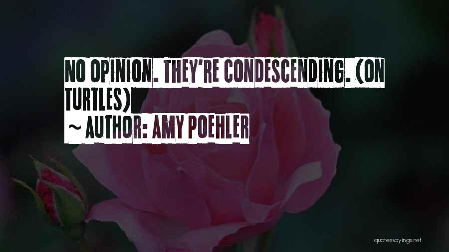 Amy Poehler Quotes: No Opinion. They're Condescending. (on Turtles)
