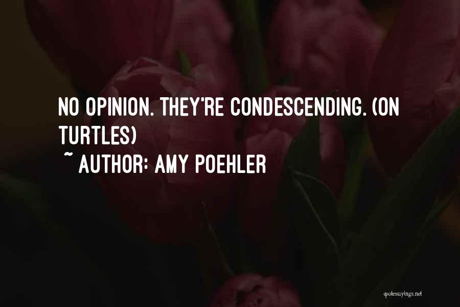Amy Poehler Quotes: No Opinion. They're Condescending. (on Turtles)