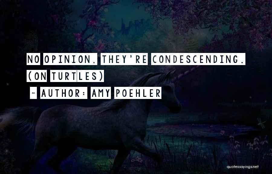 Amy Poehler Quotes: No Opinion. They're Condescending. (on Turtles)