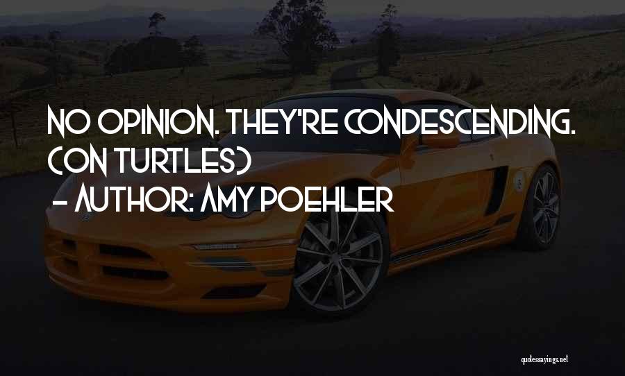 Amy Poehler Quotes: No Opinion. They're Condescending. (on Turtles)