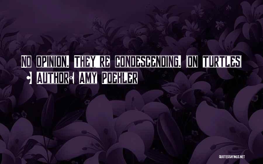 Amy Poehler Quotes: No Opinion. They're Condescending. (on Turtles)