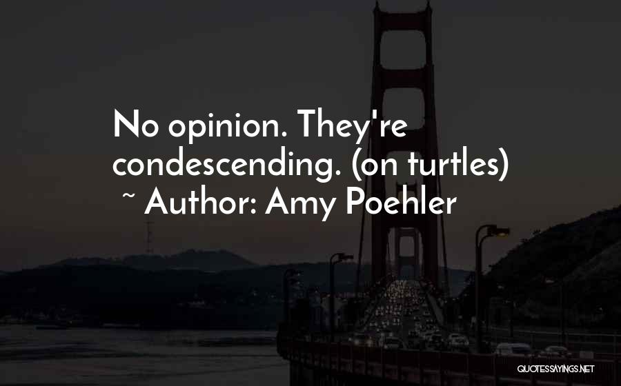 Amy Poehler Quotes: No Opinion. They're Condescending. (on Turtles)