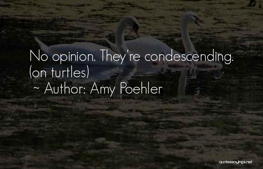 Amy Poehler Quotes: No Opinion. They're Condescending. (on Turtles)