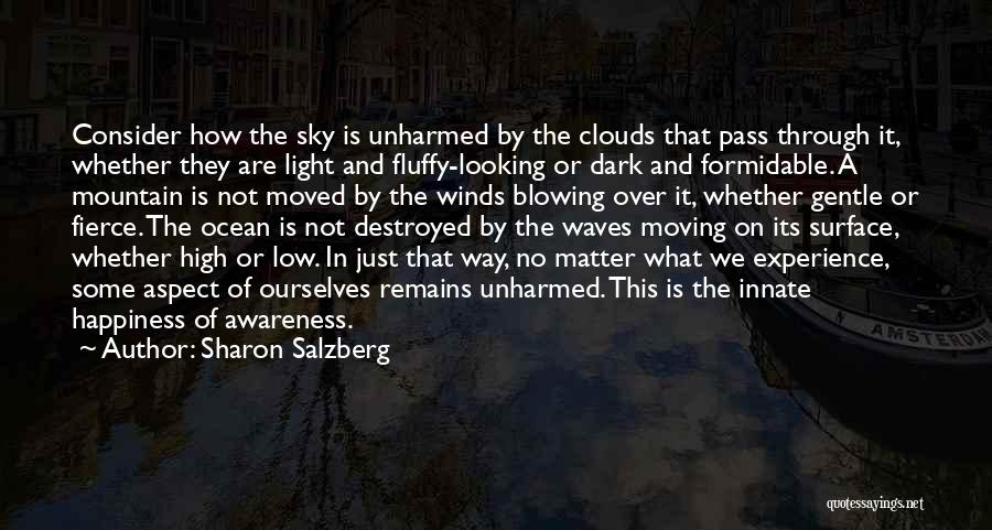 Sharon Salzberg Quotes: Consider How The Sky Is Unharmed By The Clouds That Pass Through It, Whether They Are Light And Fluffy-looking Or