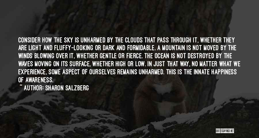 Sharon Salzberg Quotes: Consider How The Sky Is Unharmed By The Clouds That Pass Through It, Whether They Are Light And Fluffy-looking Or