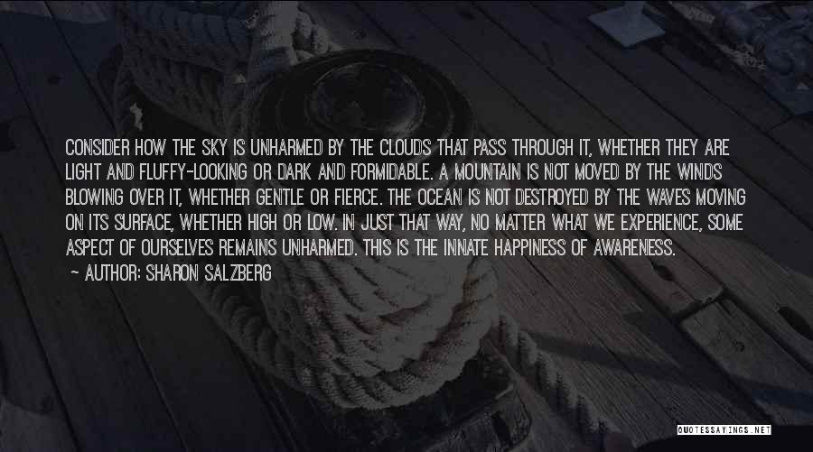 Sharon Salzberg Quotes: Consider How The Sky Is Unharmed By The Clouds That Pass Through It, Whether They Are Light And Fluffy-looking Or