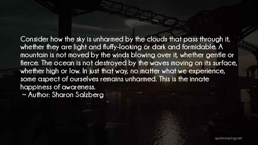Sharon Salzberg Quotes: Consider How The Sky Is Unharmed By The Clouds That Pass Through It, Whether They Are Light And Fluffy-looking Or